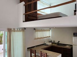 1 Bedroom Apartment for rent in Merida, Yucatan, Merida, Yucatan