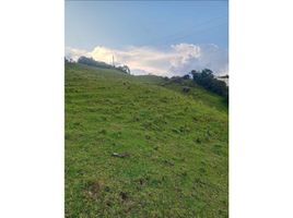  Terreno (Parcela) en venta en Penol, Antioquia, Penol