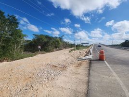  Terreno (Parcela) en venta en Uman, Yucatán, Uman