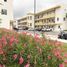 Condominium 3 chambre à vendre à Cozumel, Quintana Roo, Cozumel