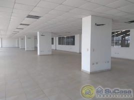 160 SqM Office for rent in Puesto De Salud La Reina, Cartagena, Cartagena