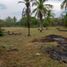  Land for sale in Arjona, Bolivar, Arjona