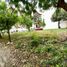  Land for rent in Cartagena, Bolivar, Cartagena, Bolivar