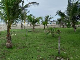  Terreno (Parcela) en venta en Kuna Yala, Puerto Obaldía, Kuna Yala, Kuna Yala