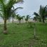  Land for sale in Puerto Obaldia, Kuna Yala, Puerto Obaldia, Kuna Yala, Kuna Yala