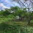  Land for sale in Puerto Obaldia, Kuna Yala, Puerto Obaldia, Kuna Yala, Kuna Yala