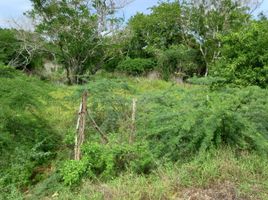  Terreno (Parcela) en venta en Panamá, Puerto Obaldía, Kuna Yala, Kuna Yala, Panamá