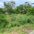  Land for sale in Puerto Obaldia, Kuna Yala, Puerto Obaldia, Kuna Yala, Kuna Yala