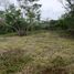  Land for sale in Puerto Obaldia, Kuna Yala, Puerto Obaldia, Kuna Yala, Kuna Yala