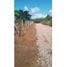  Terrain for sale in Penonome, Cocle, Cocle, Penonome