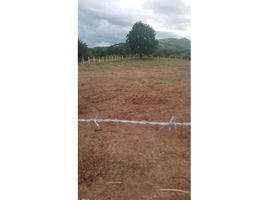  Land for sale in Penonome, Cocle, Cocle, Penonome