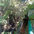 7 Bedroom House for sale in Cuernavaca, Morelos, Cuernavaca, Morelos