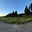  Land for sale in Maule, Teno, Curico, Maule