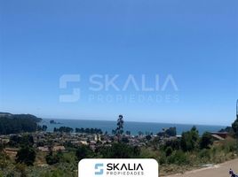  Terreno (Parcela) en venta en Chile, Tome, Concepción, Biobío, Chile