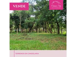  Grundstück zu verkaufen in Candelaria, Misiones, Candelaria