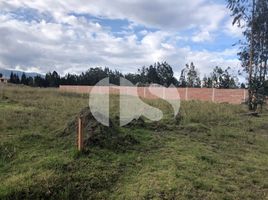  Terrain for sale in Chimborazo, Riobamba, Riobamba, Chimborazo