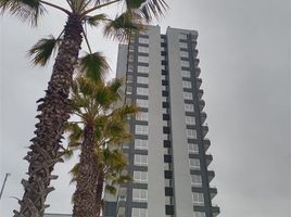1 Bedroom Apartment for sale in Coquimbo, Coquimbo, Elqui, Coquimbo
