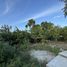 Land for rent in Guadalupe, Nuevo Leon, Guadalupe