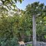  Land for rent in Guadalupe, Nuevo Leon, Guadalupe