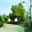  Land for sale in Chacabuco, Santiago, Colina, Chacabuco