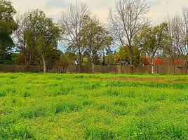  Land for sale in Chacabuco, Santiago, Colina, Chacabuco