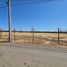  Land for sale in Chacabuco, Santiago, Colina, Chacabuco