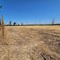  Land for sale in Chacabuco, Santiago, Colina, Chacabuco
