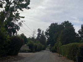  Land for sale in Chacabuco, Santiago, Colina, Chacabuco
