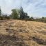  Land for sale in Chacabuco, Santiago, Colina, Chacabuco