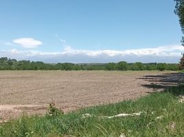  Land for sale in Tupungato, Mendoza, Tupungato