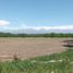  Land for sale in Tupungato, Mendoza, Tupungato