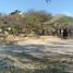  Land for sale in Allende, Guanajuato, Allende, Guanajuato