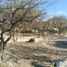  Land for sale in Allende, Guanajuato, Allende, Guanajuato