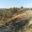 Land for sale in Allende, Guanajuato, Allende, Guanajuato