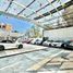  Terreno (Parcela) en venta en Miguel Hidalgo, Ciudad de México, Miguel Hidalgo
