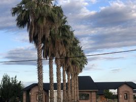  Grundstück zu verkaufen in San Rafael, Mendoza, San Rafael