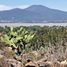  Land for sale in Patzcuaro, Michoacan, Patzcuaro