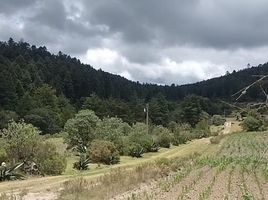 Grundstück zu verkaufen in Pachuca De Soto, Hidalgo, Pachuca De Soto