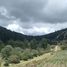  Grundstück zu verkaufen in Pachuca De Soto, Hidalgo, Pachuca De Soto