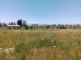  Terreno (Parcela) en venta en Chile, Codegua, Cachapoal, Libertador General Bernardo O'Higgins, Chile
