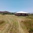  Terreno (Parcela) en venta en Chile, Codegua, Cachapoal, Libertador General Bernardo O'Higgins, Chile