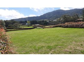  Land for sale in El Carmen De Viboral, Antioquia, El Carmen De Viboral