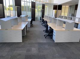 1,167 m² Office for rent in Mexico, Naucalpan De Juarez, Mexico