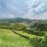  Land for sale in Caldas, Manizales, Caldas