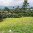  Land for sale in Caldas, Manizales, Caldas