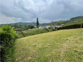  Terreno (Parcela) en venta en Caldas, Manizales, Caldas