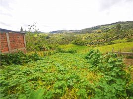  Land for sale in Versalles, Valle Del Cauca, Versalles