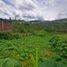  Land for sale in Versalles, Valle Del Cauca, Versalles