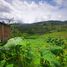  Land for sale in Versalles, Valle Del Cauca, Versalles