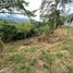  Land for sale in San Jeronimo, Antioquia, San Jeronimo